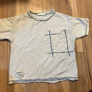 Zara striped t